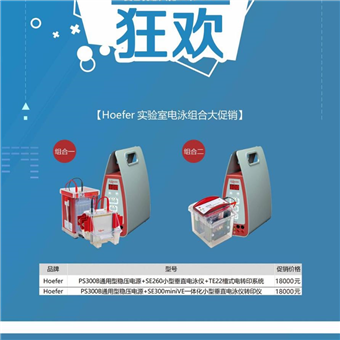 PS300B进口电泳仪